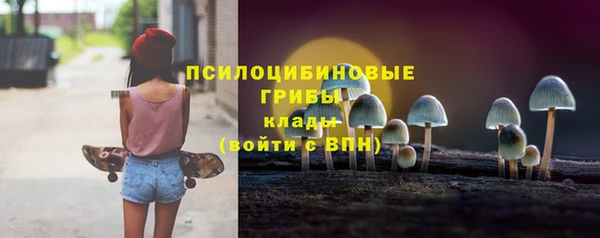 твердый Лиски