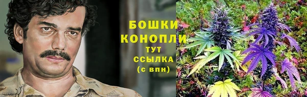 бошки Майский
