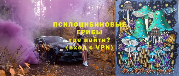 твердый Лиски